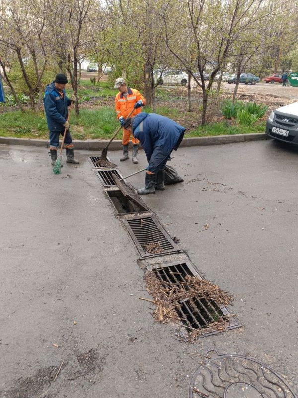 ���������: ������� ������ �������� ����������� ������� �������� ������� �� ������� ������ � �����