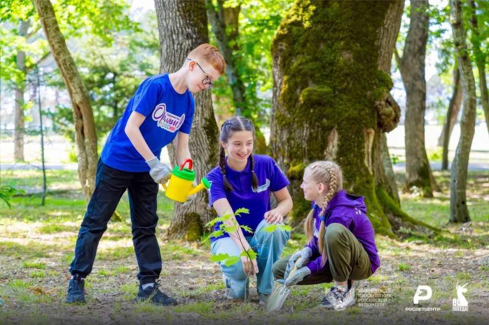 Корм в кошачий дом. В Севастопольском архитектурно-строительном техникуме уже в пятый раз проходит акция «Корм в кошачий дом» Корм в кошачий дом. В Севастопольском архитектурно-строительном техникуме уже в пятый раз проходит акция «Корм в кошачий дом»