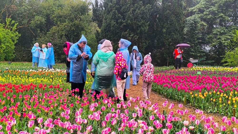 � ��������� ������������ ���� ��������� ����� ���������