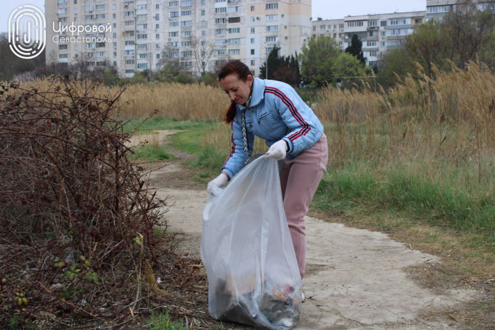 ������ � ������������� �������������� �������� ������� ������ �� �������� ������� � ����������� ����������