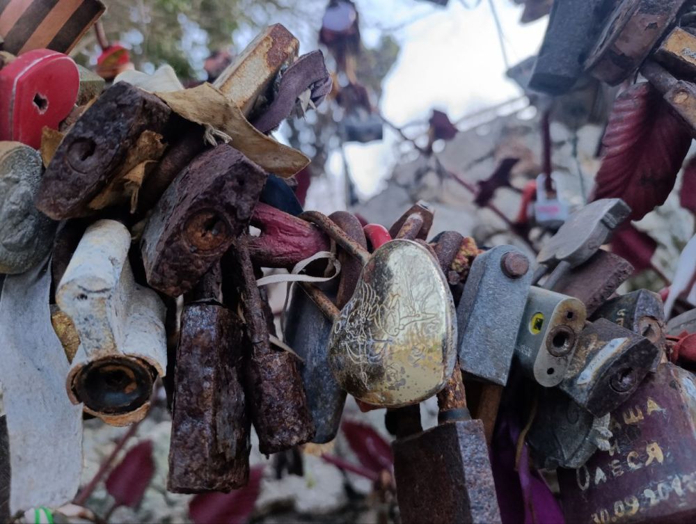 ������, �������� �� �����: ���������� "�����