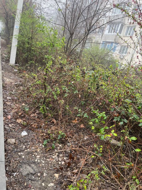 ��� ��� ����, ��� ��� ����, ��� ��� ������ ���������, ���� ������� ���������!