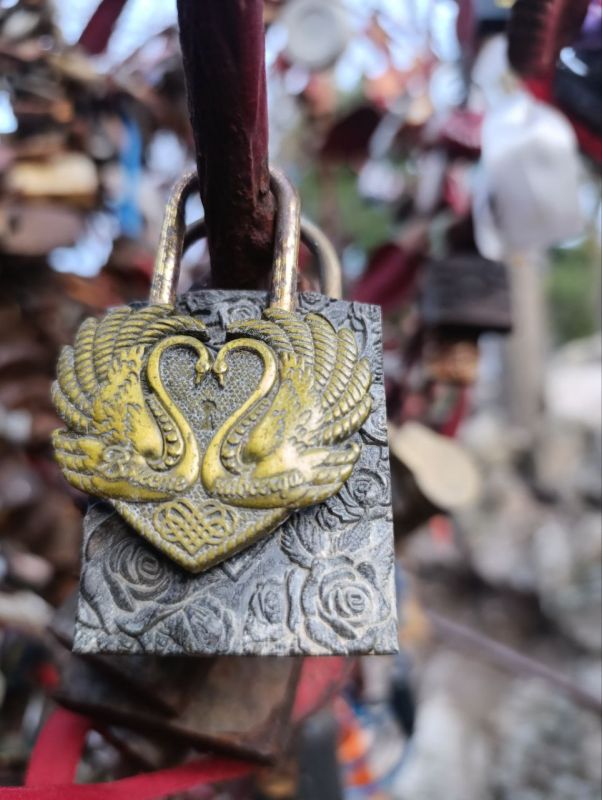 ������, �������� �� �����: ���������� "�����