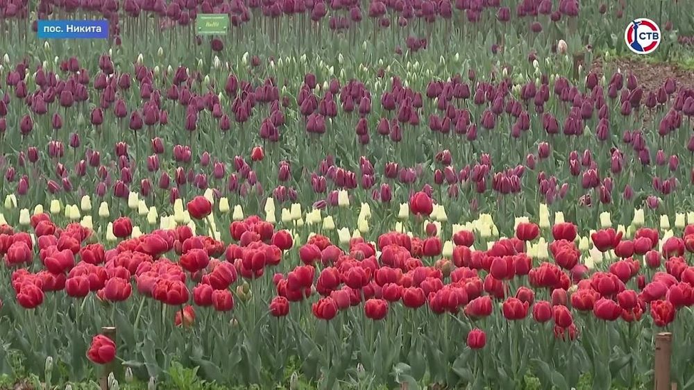 � ��������� ������������ ���� ���������� �������� ������ ��������� 2025�