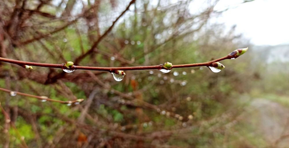 ������ ����, �����������! �� ����� ����� ������� �������, ��� � � ��������� ����������