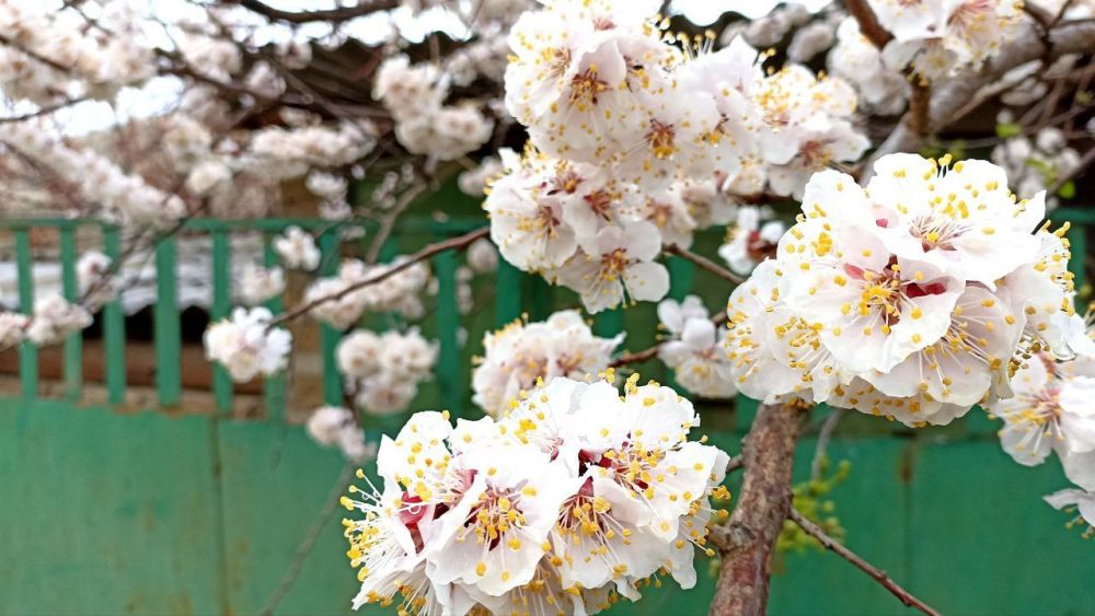 ������ ����, �����������! �� ����� ����� ������� �������, ��� � � ��������� ����������