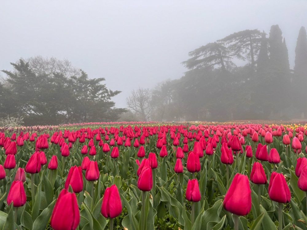 � ��������� ������������ ���� ��������� ����� ���������