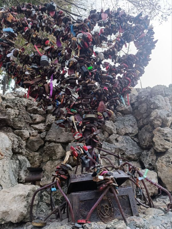 ������, �������� �� �����: ���������� "�����