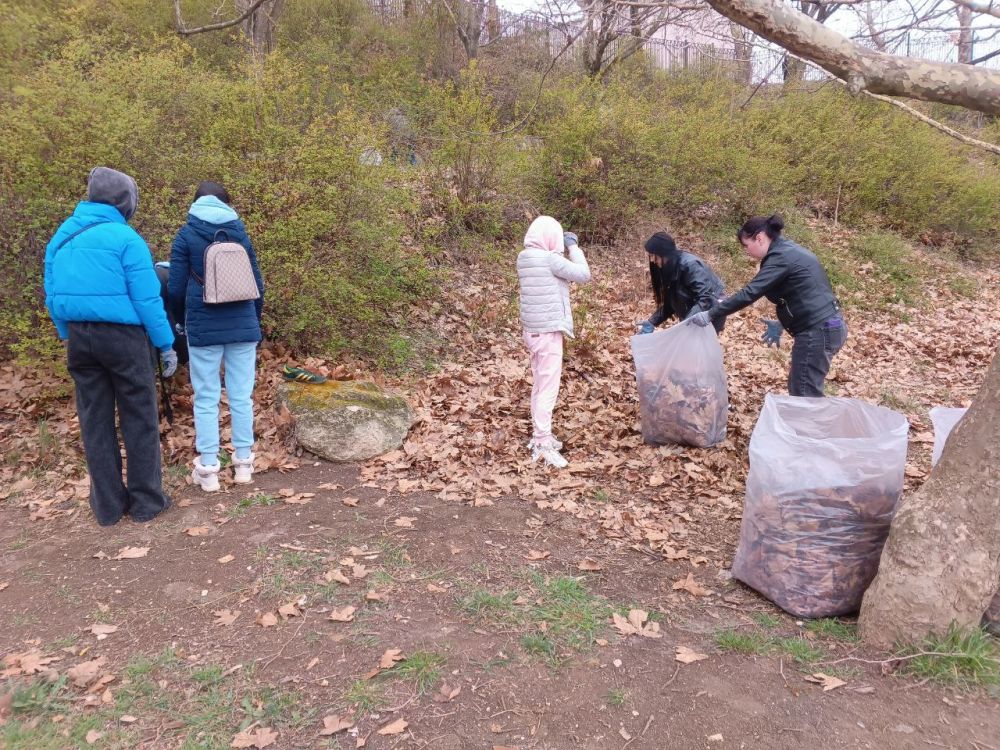 �������� ��������: ����� ������ ������� ����������: