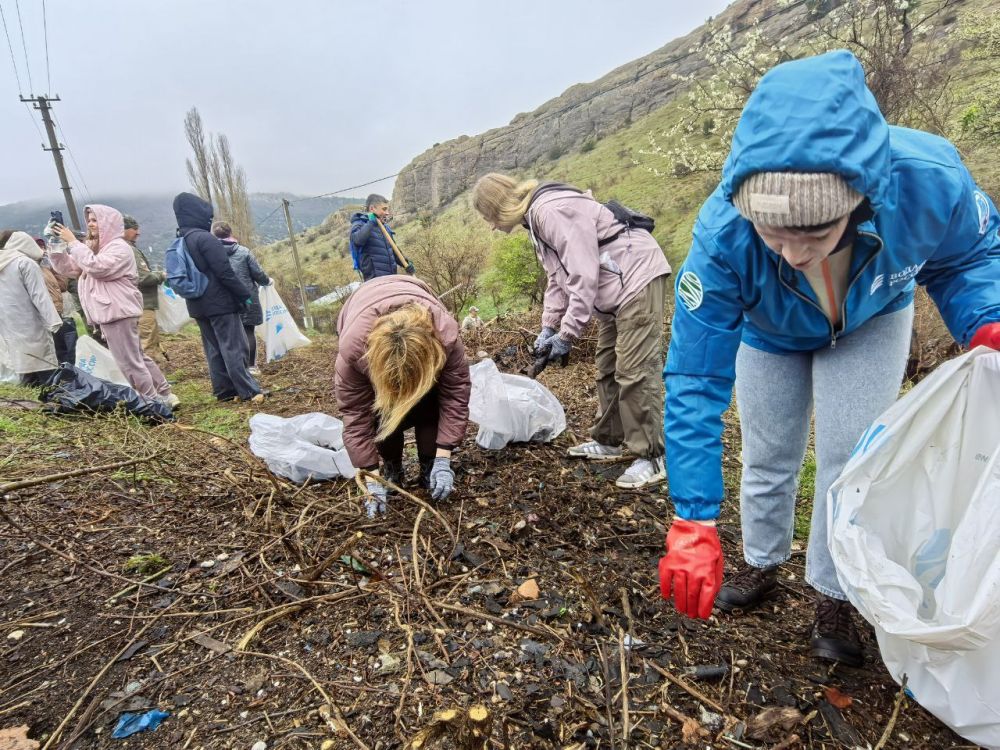 ���������� ����������������, ��� ������ ����������� ��������� ���� � ������� ���������, ��� ��������, ��� ���������������� �����������, ��������� ���������� � ������������� ��������� , ����������� � ���������