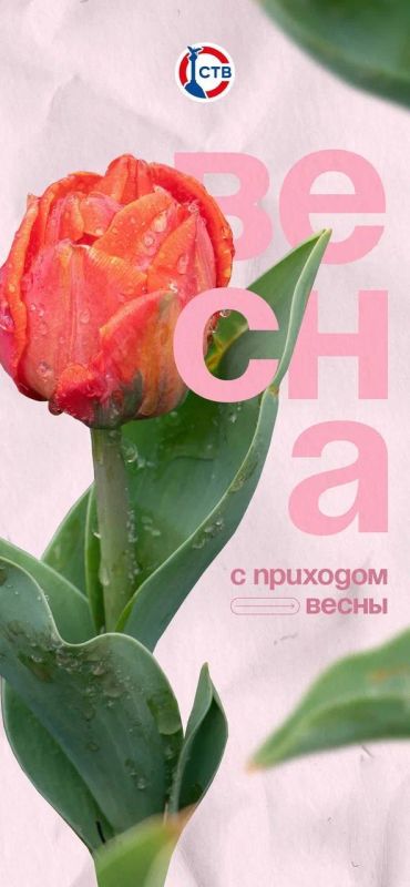 ���������� ������ ��� ����� ������!