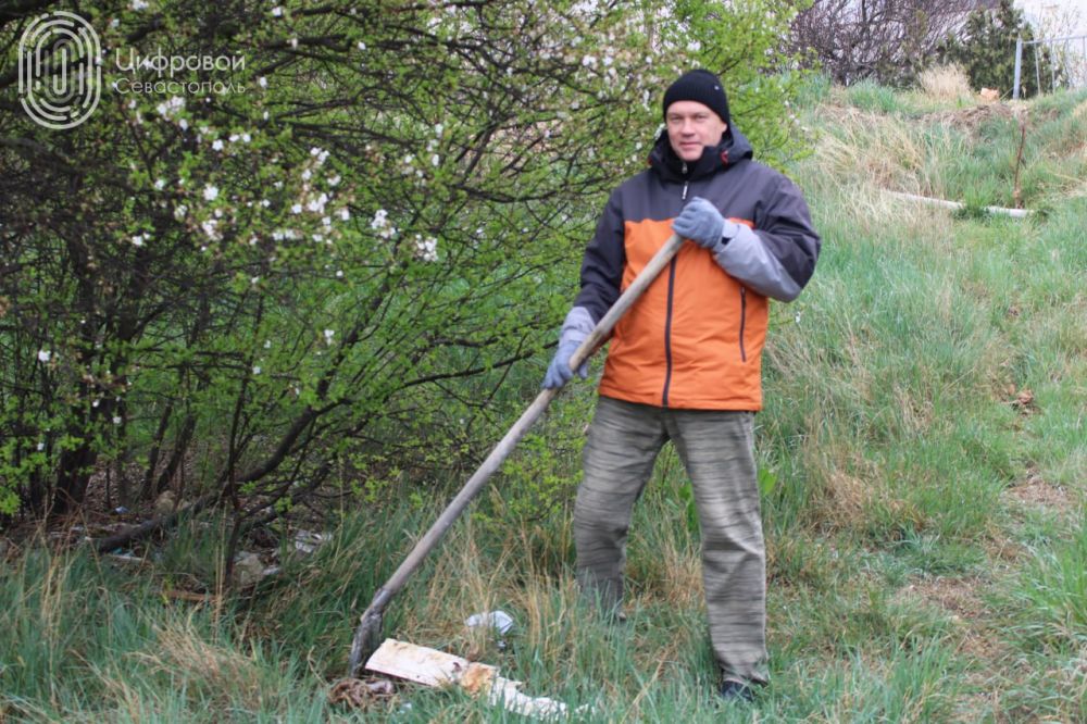 ������ � ������������� �������������� �������� ������� ������ �� �������� ������� � ����������� ����������