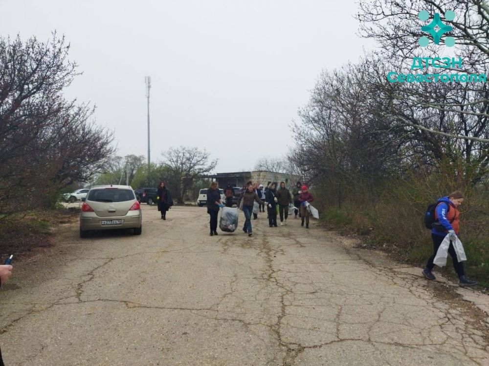 ���������� ������������ ������� ������� �� ������ ������������� ���������� � �����������