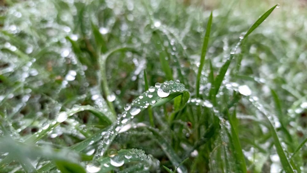 ������ ����, �����������! �� ����� ����� ������� �������, ��� � � ��������� ����������