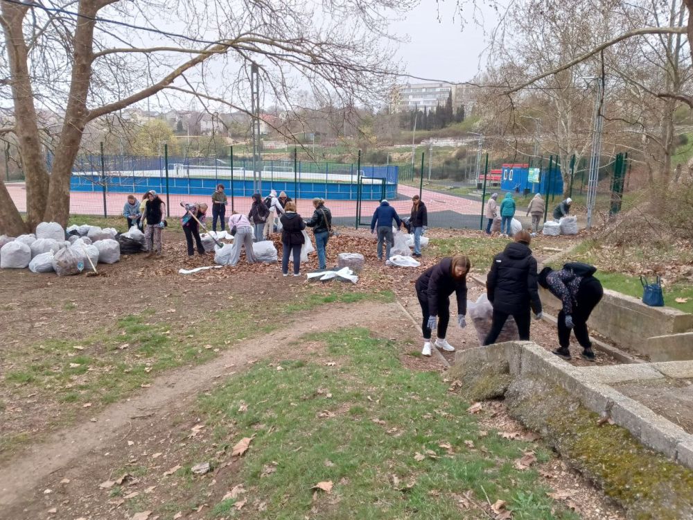 �������� ��������: ����� ������ ������� ����������: