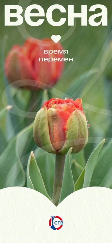 ���������� ������ ��� ����� ������!