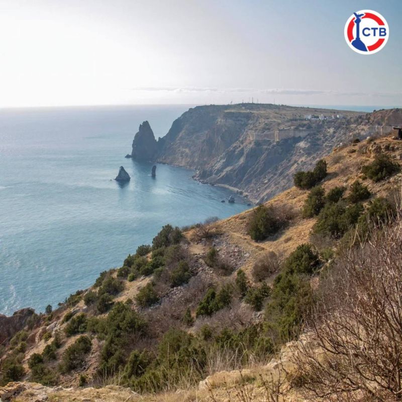 �� �������� ��������� �������� ������������� ������������ ������������