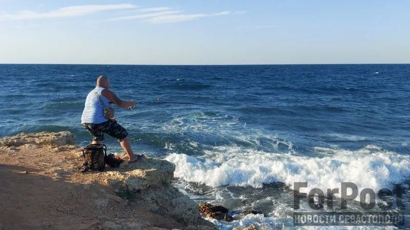 ��������� ��������� ����� ������ ������ � � �������� ���� ������� ��� ��������