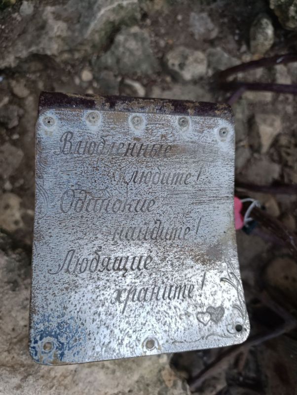 ������, �������� �� �����: ���������� "�����