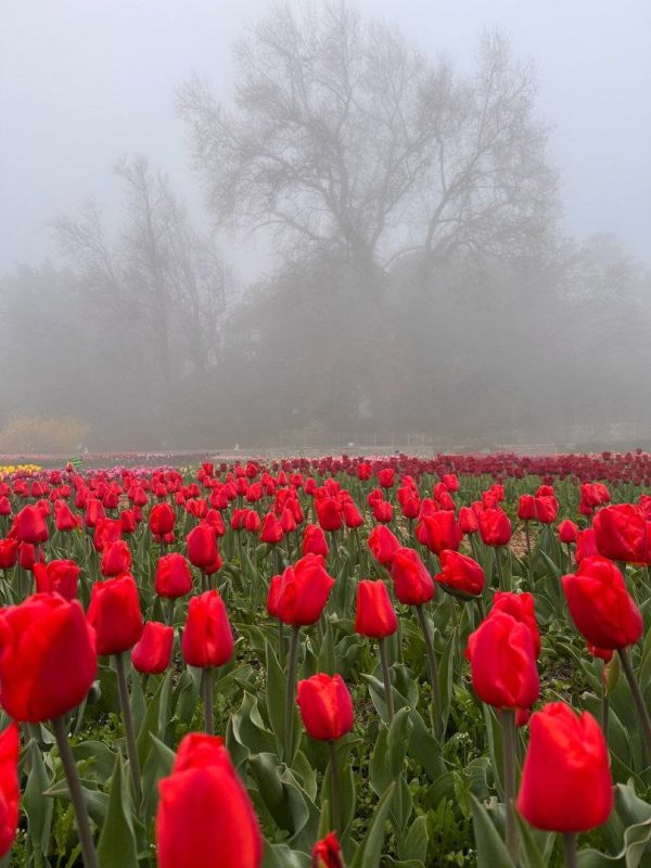 � ��������� ������������ ���� ��������� ����� ���������