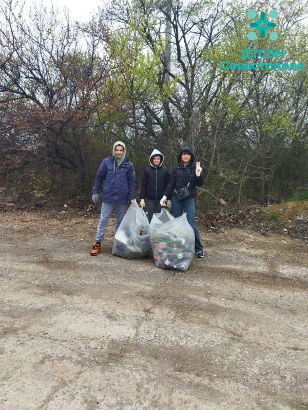 ���������� ������������ ������� ������� �� ������ ������������� ���������� � �����������