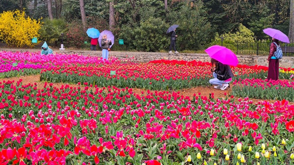 � ��������� ������������ ���� ��������� ����� ���������