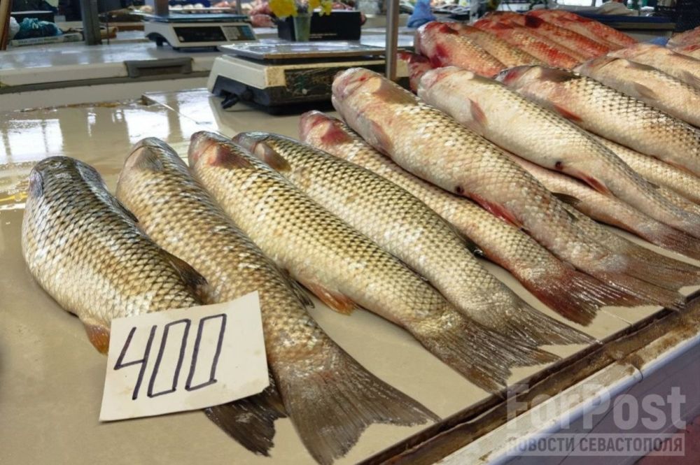 ��������� ��������� ����� ������ ������ � � �������� ���� ������� ��� ��������