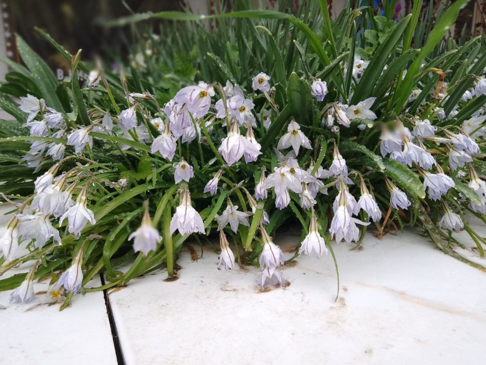 ������ �������!. � ����������� ����� �����