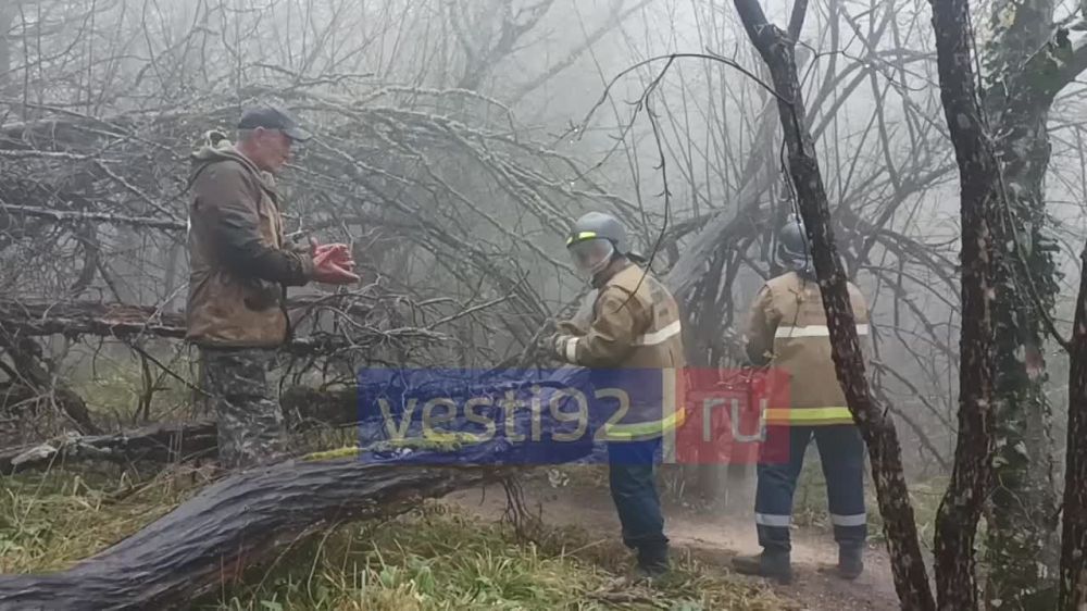 ���������� ������������ ������ ����������� ������� �������� � ������� ������� ������� ��������������� ����� �� ��������� ������ �� ���� ������ (����� ������)