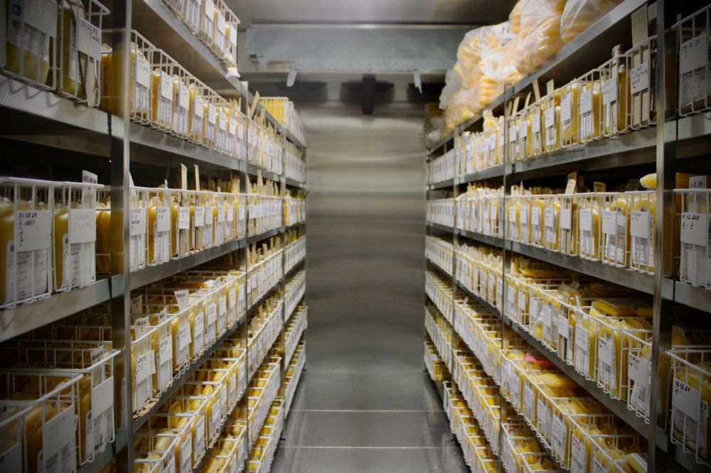 ��������� ����� ��� �����: ��� ����� �����