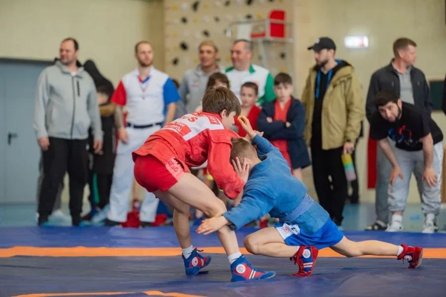 � ����������� ���������� ������������� ������������ �� �����