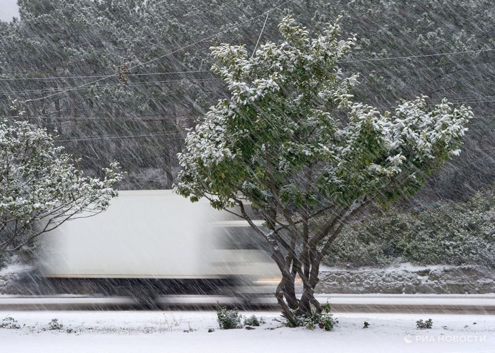 Севастопольцы, приготовиться!
