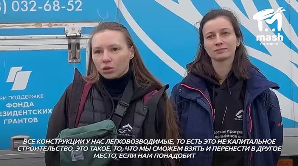 Мобильный ребцентр для дельфинов появится под Севастополем