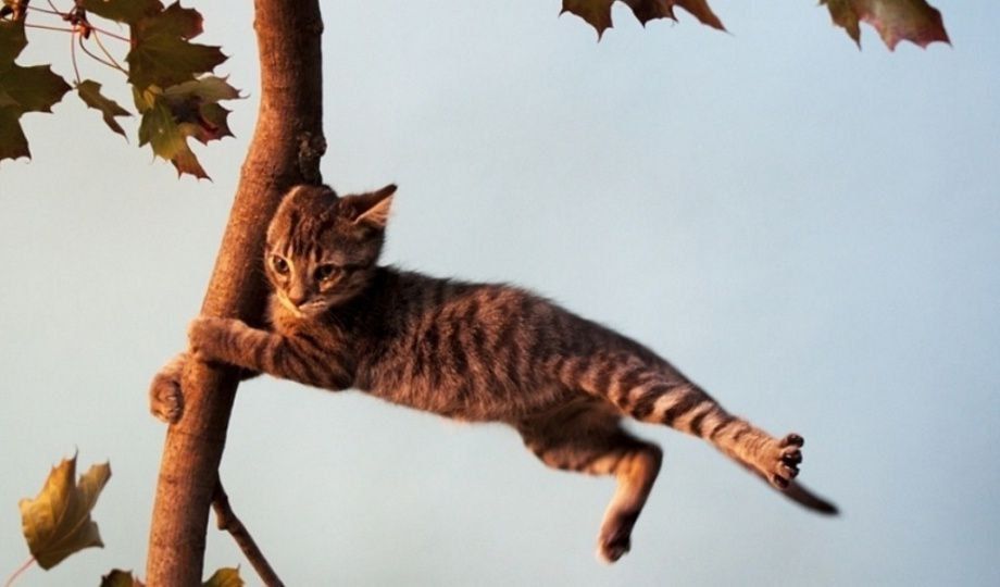 ������� ����� � ������ ���� ���� � �����������