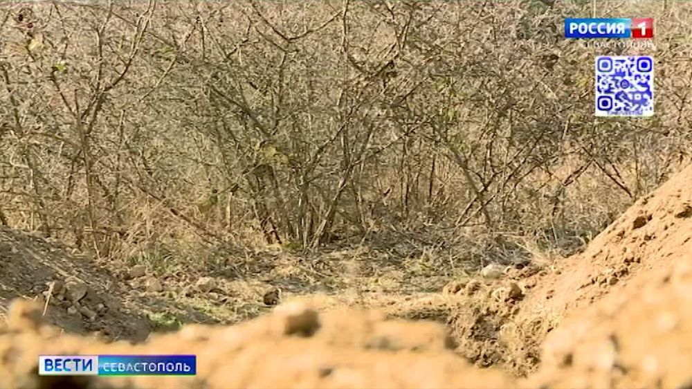 Судьбу двух освободителей Севастополя удалось установить поисковикам