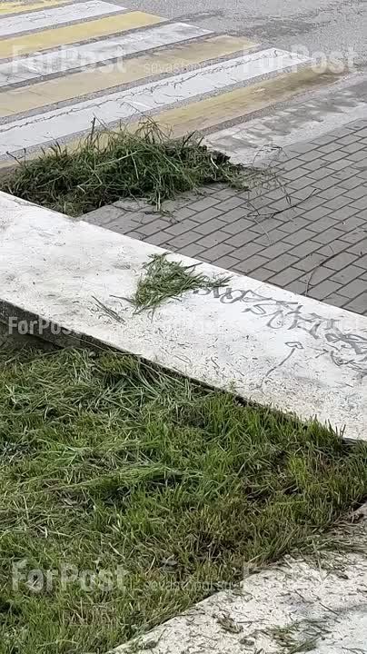 #Нам_пишут. Красный спуск