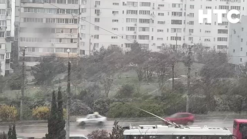 ���������� �������� ������ ��������������