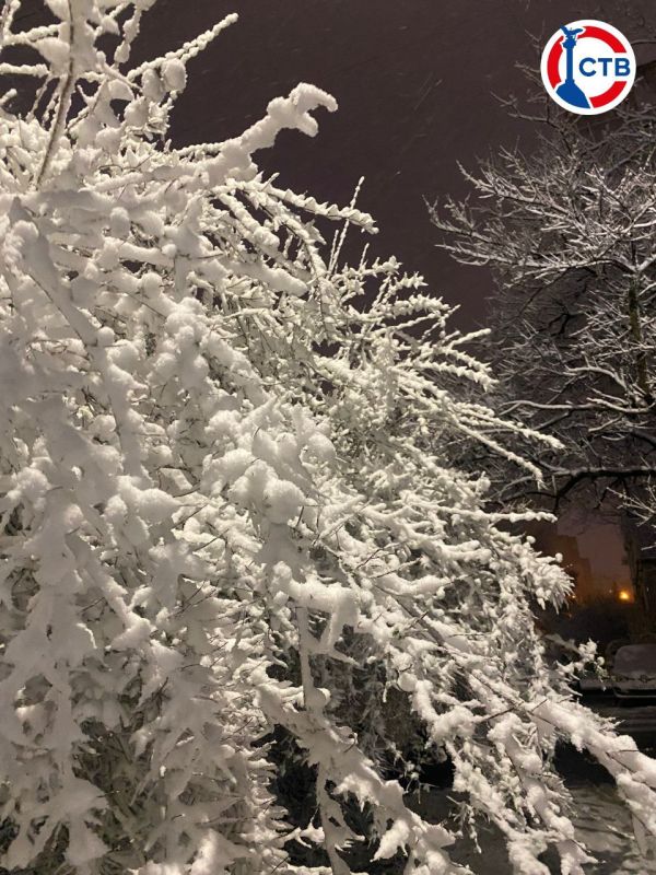 ������������ ������� � ���� � ������!