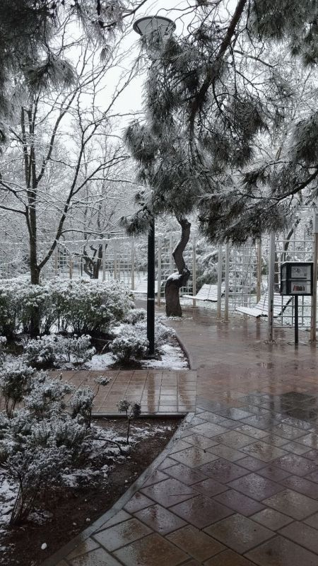 ������, ������� ������� ���