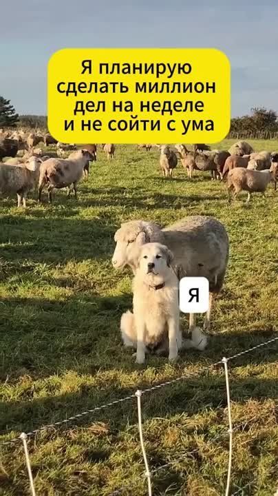 ������� ��������� ���� � 7 �� 13 ������ 2025 ���� �� ������ ����������� ��������� ���������� ��� ���: