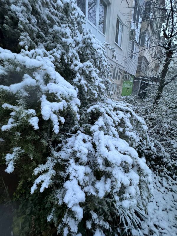 ������, ������� ������� ���