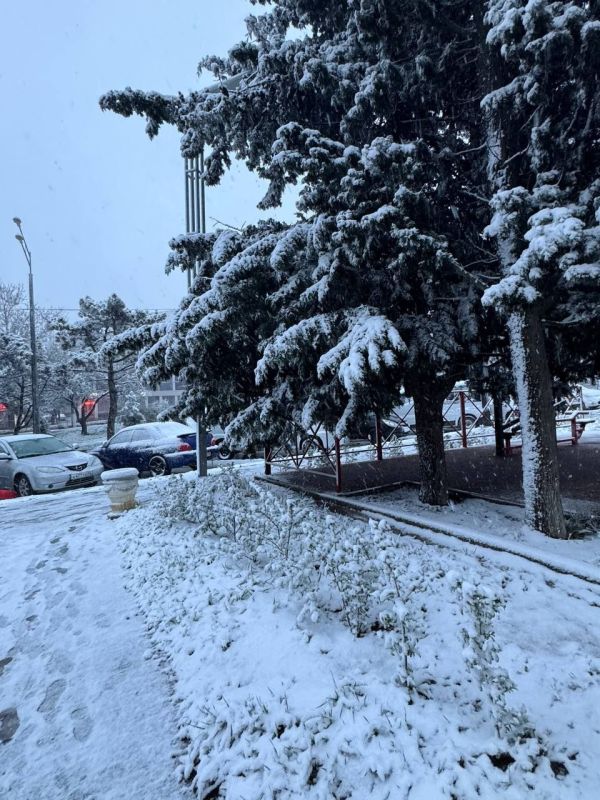 ������, ������� ������� ���