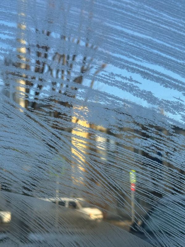 ������� ������ � ����� �� 7 ������