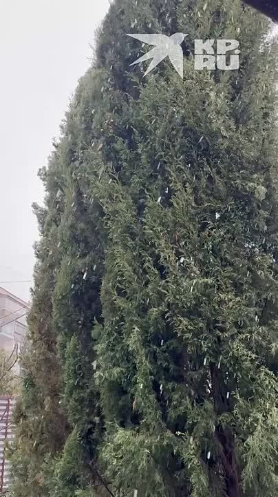 � ������� ��� ������ ������