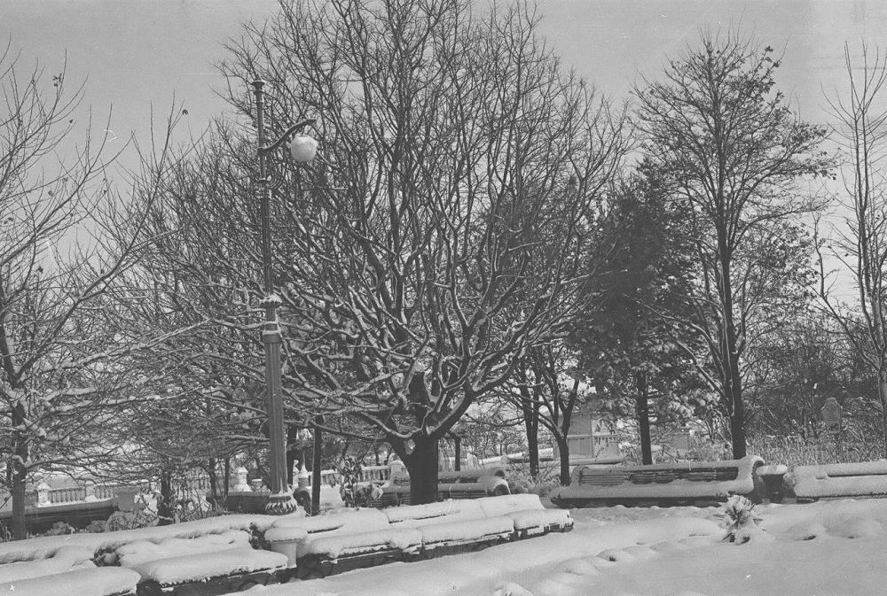 ����������� ���������� ������� � 1963 ����