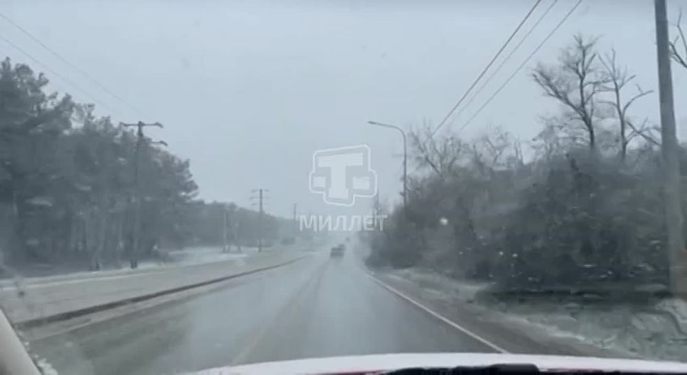 ��� ���� �������� � �� �����������