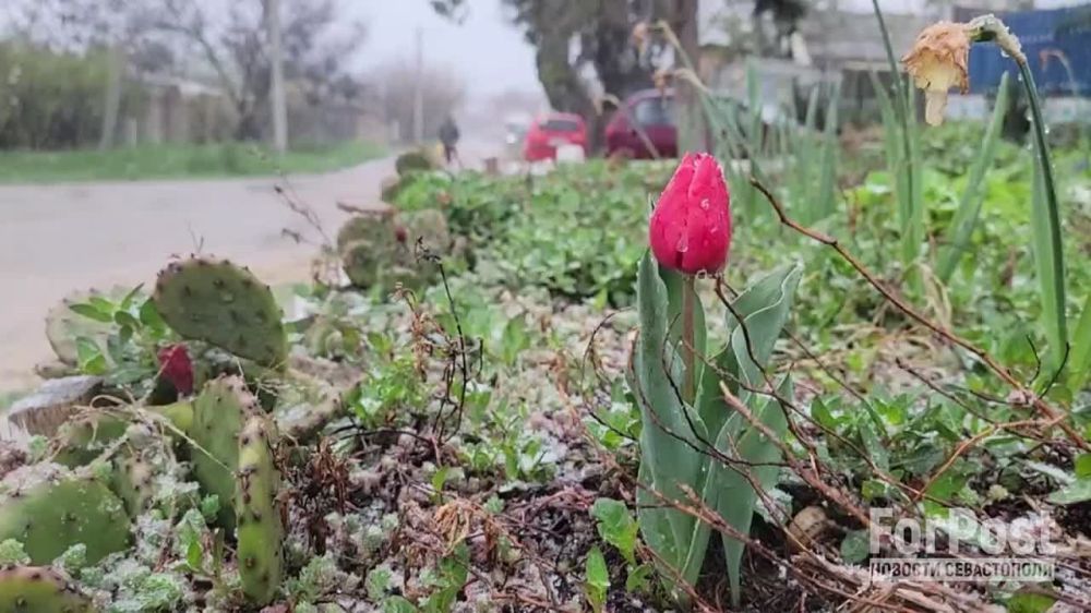 ��������� ������: �������� ����������� �������� ������