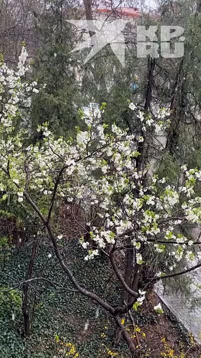 � ���� ����, ���� ����!. ���������� �����