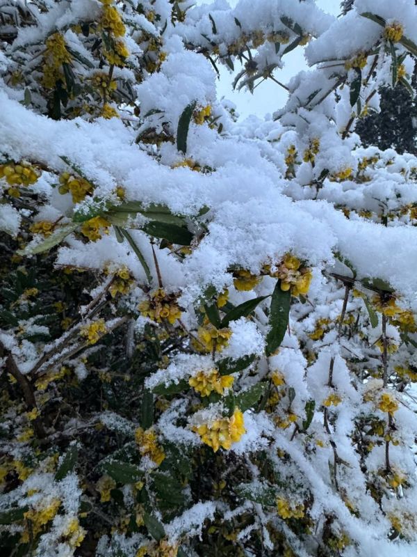 ������, ������� ������� ���