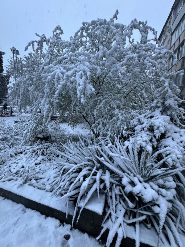 ������, ������� ������� ���